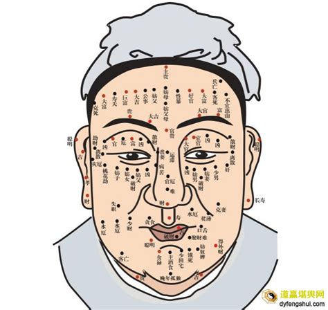 胸口有痣的人|痣说人生：胸上痣的位置与命运图